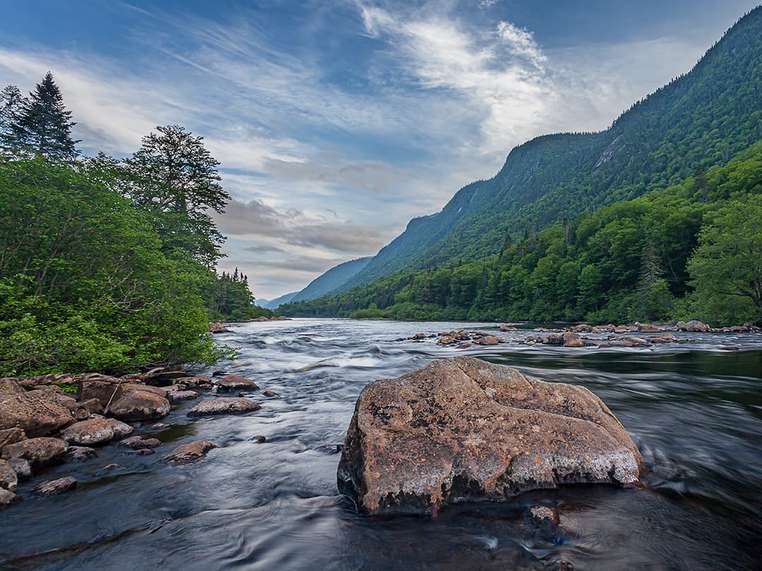 river and forest
