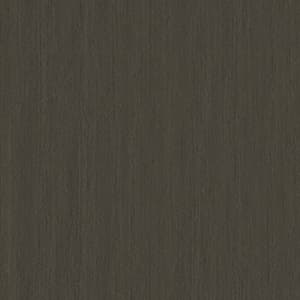 Slate Grey TX 
